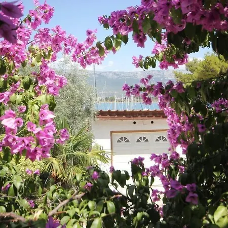 Apartment Bello Split